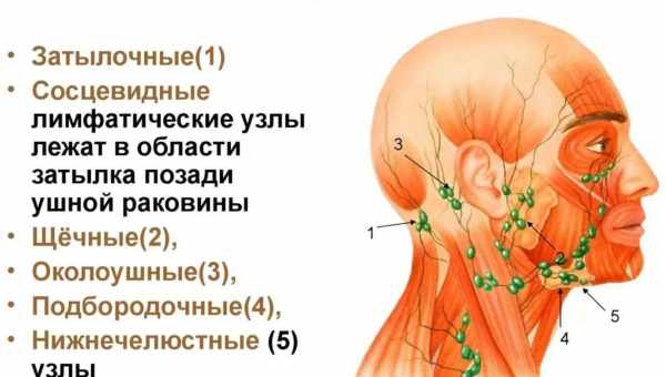 Флегмона шиї