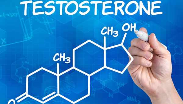 Тестостерон і спорт