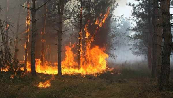 Погода в Ліндосі в червні