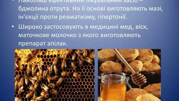 Народні або бабусині засоби проти випадання волосся: їхні види, а також рецепти приготування