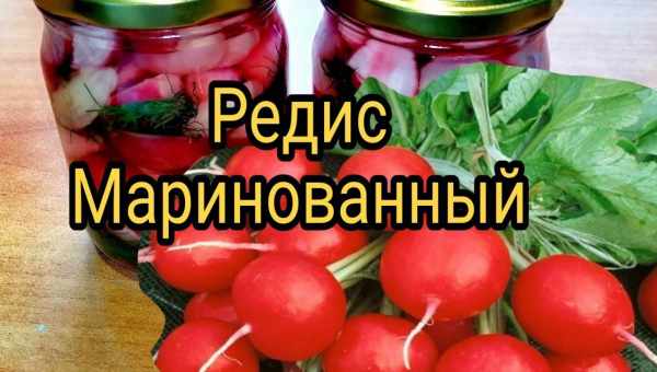 Маринований редис швидкого приготування