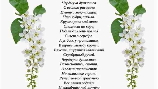 У Скайпі немає звуку, мене не чують - що робити в такій ситуації? "