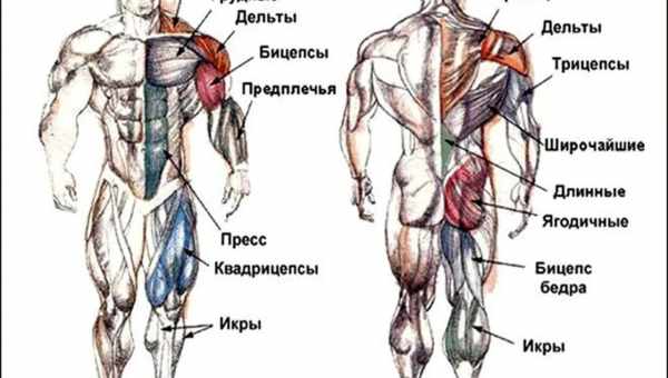 Точка відновлення системи: все, що потрібно знати ".