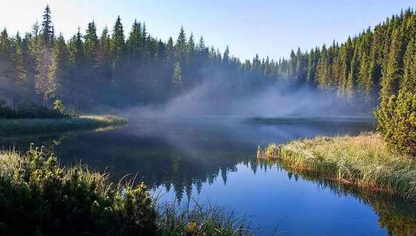 Аномалія в українських озерах