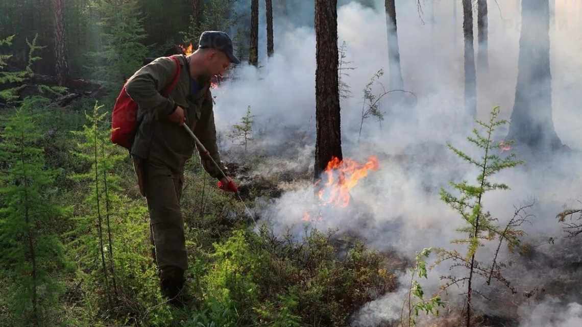 Під Челябінськом гадають про причини дивного вивалу лісу