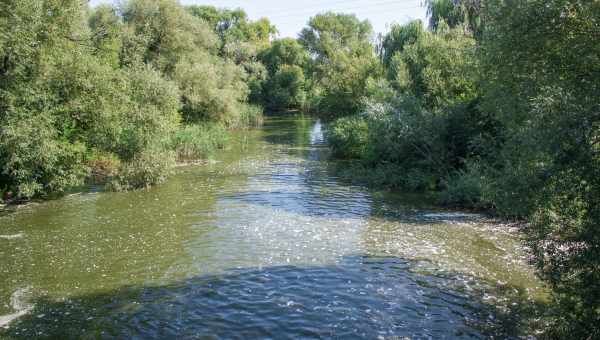 Поява кривавої річки спровокувала паніку серед городян