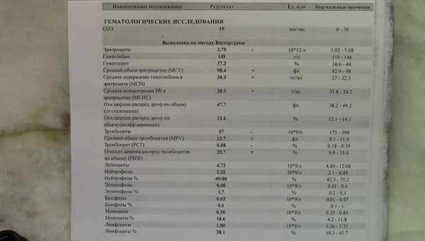 Норма тромбоцитів при вагітності У період очікування дитини ви здаєте багато аналізів. Це необхідно, щоб оцінити стан організму і вчасно виявити проблему.