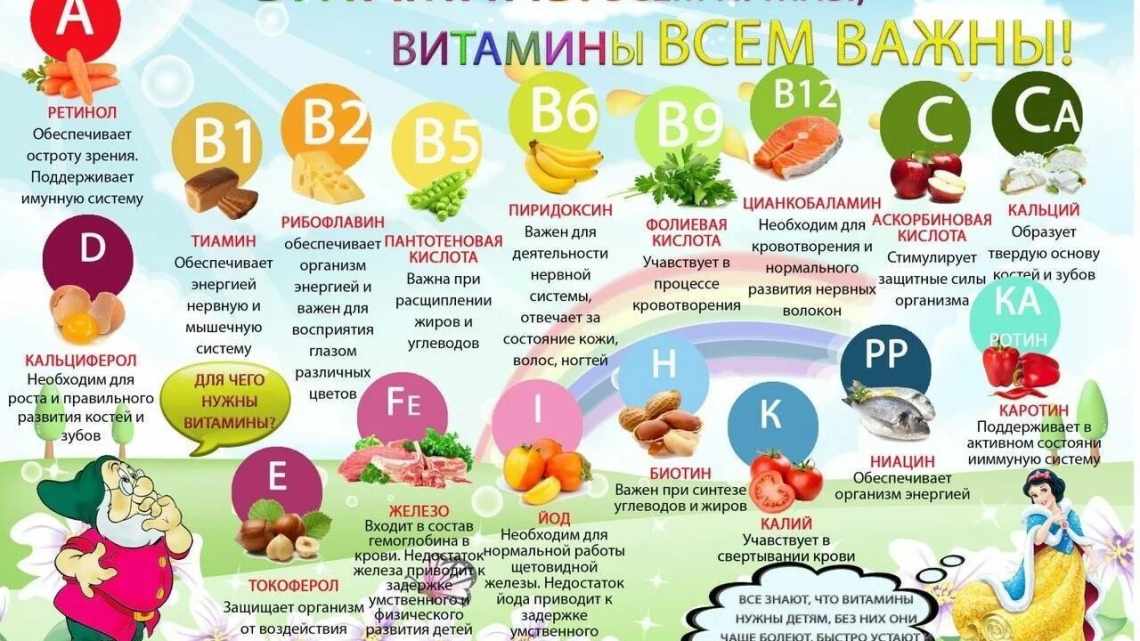 З якого віку можна баклажан дитина Початок введення нових продуктів у раціон дитини завжди хвилюючий. Адже помилки можуть призводити до порушень у роботі травної системи, алергічних реакцій і навіть до більш серйозних наслідків. Інформації в мережі багато