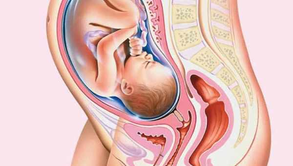 Особливості 34 тижня вагітності