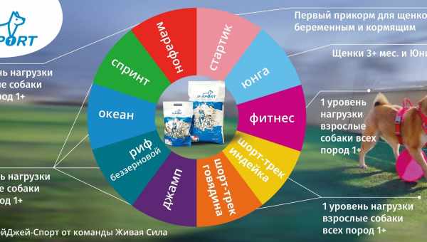 Корми холістики для собак дрібних порід: види та критерії вибору