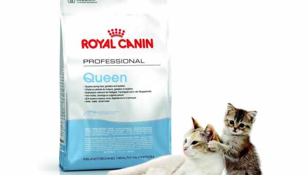 Особливості молока для цуценят ROYAL CANIN