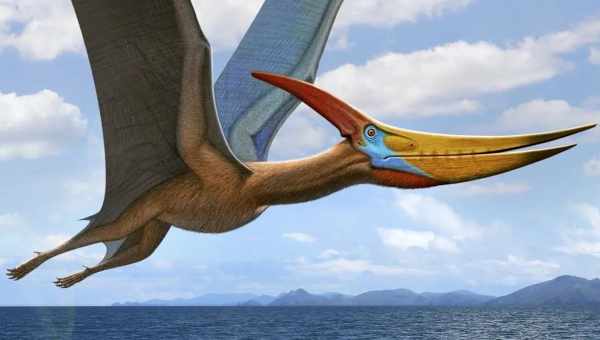 Гігантський птерозавр кетцалькоатль виявився поганим летуном