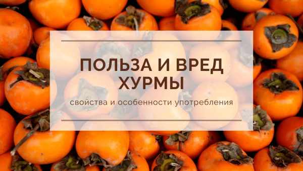 Соковита хурма - мінімум калорій, максимум користі, а може бути і шкода? Користь і шкода солодкої хурми для організму дитини і дорослого