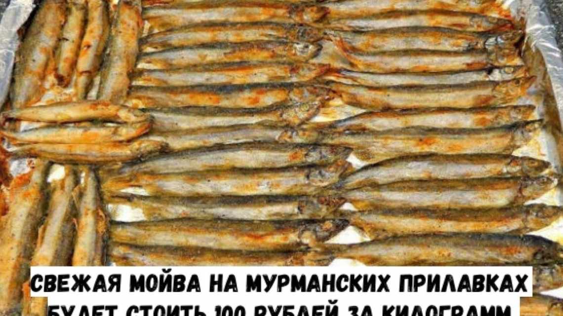 Мойва в духовці: «котяча» рибка може стати делікатесом, якщо її правильно приготувати! Рецепти приготування мойви в духовці