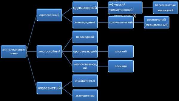 Сім критеріїв класифікації тренінгів