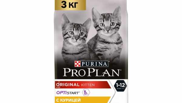 Різноманітність кормів Purina Pro Plan для цуценят