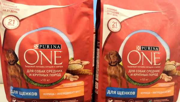 Різноманітність кормів Purina для собак дрібних порід