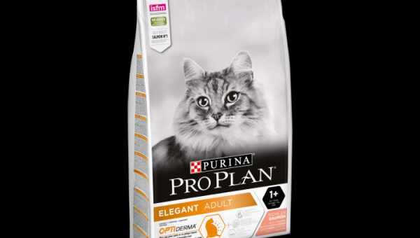 Порівняння кормів Purina Pro Plan і ROYAL CANIN