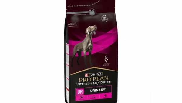 Особливості кормів для собак Purina Dog Chow