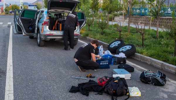 Попутний транспорт допоміг мурахам розселитися по всьому світу