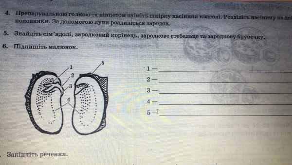 Закон Гаусса допоміг обмежити число магнітних монополій на Землі