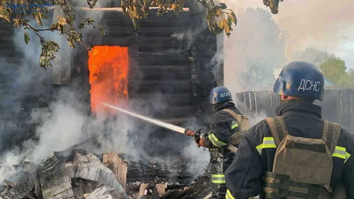 На тихоокеанському атолі заради порятунку птахів знищили жовтих божевільних мурахів