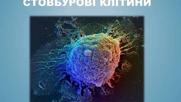 Китайці застосували стовбурові клітини проти коронавірусної пневмонії