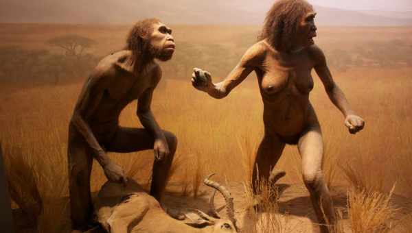 Homo Erectus зміг би грати на піаніно?