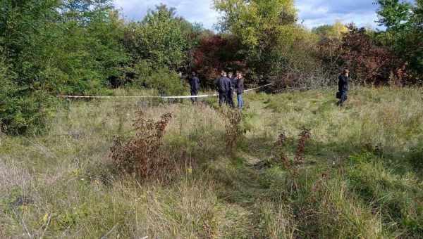 Знайдено два нові види вбиває себе сексом сумчастої миші