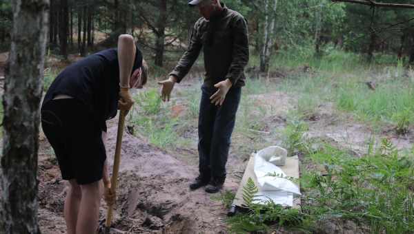 Психологи знайшли спосіб боротьби з «олюдненням» гаджетів