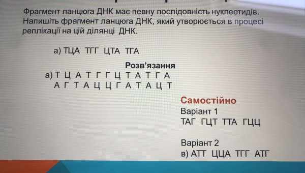 Кореляція переміщень допомогла оцінити талант футболістів