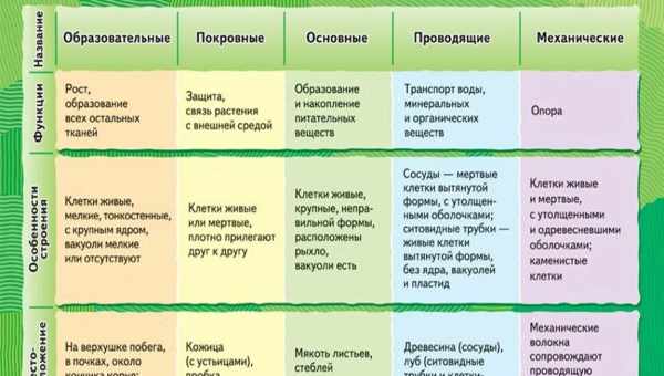 Який буває павутинка для тканини і як її використовувати?