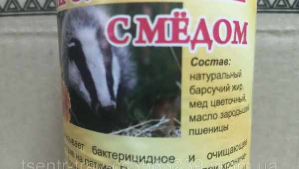 Барсучий жир: які корисні властивості приховані в нім. Яку користь і шкоду для організму людини приносить барсучий жир