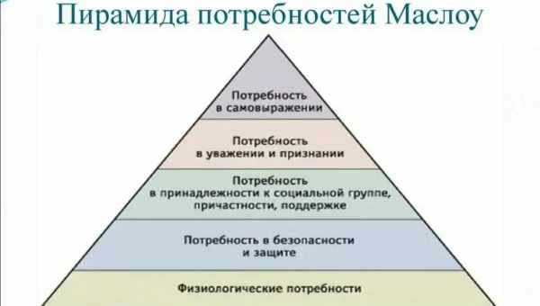 Принцип домінанти по А.А. Ухтомському