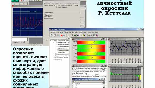 Жорсткість-чутливість по Кеттеллу