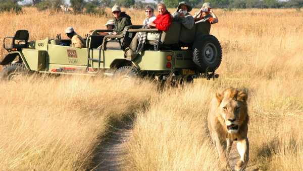 Команда розробників Safari збирає відгуки про браузер