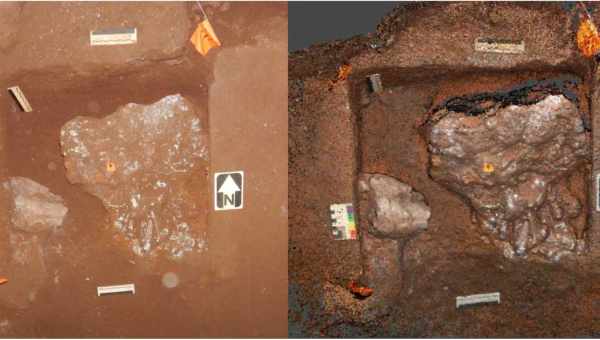 Будова мозку Homo naledi підтвердила їх приналежність до роду Homo