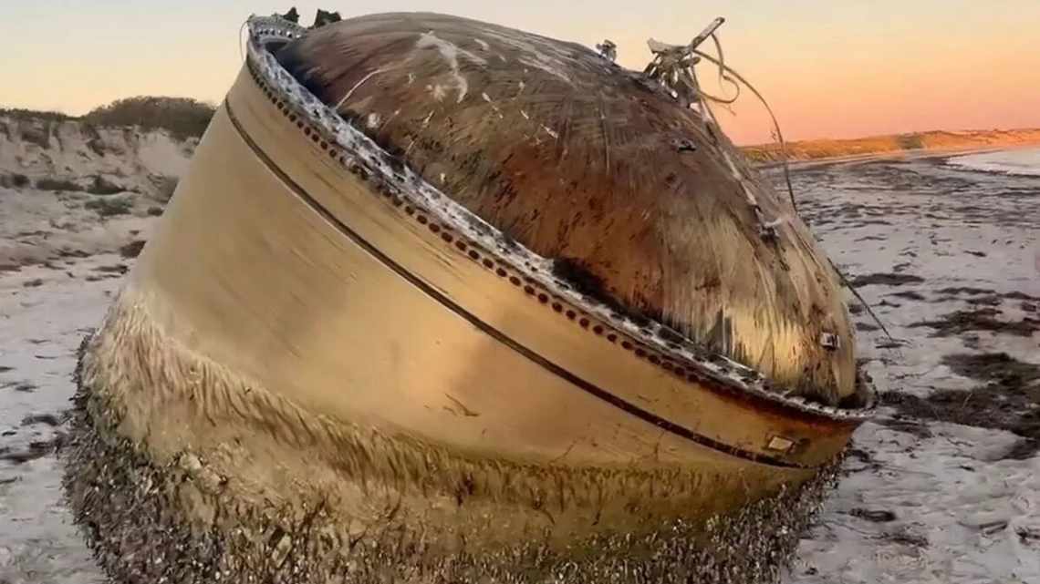 Що приховують глибокі води Австралії: дивовижні тварини