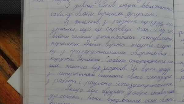 Цей твік приховує інформацію про пристрій на скріншотах і під час запису екрану