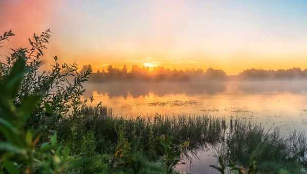 Світанок мерців