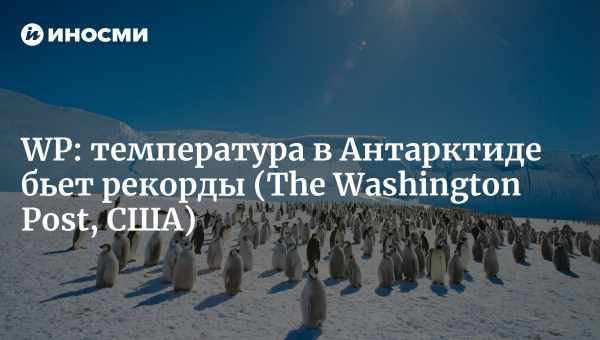 Новий рекорд тепла для Антарктиди в березні побив попередній на 15 градусів