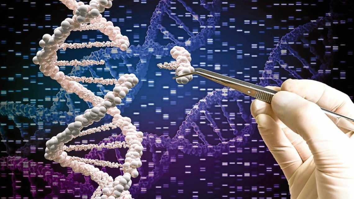 Першовідкривачі CRISPR/Cas9 залишилися без патенту на технологію в США