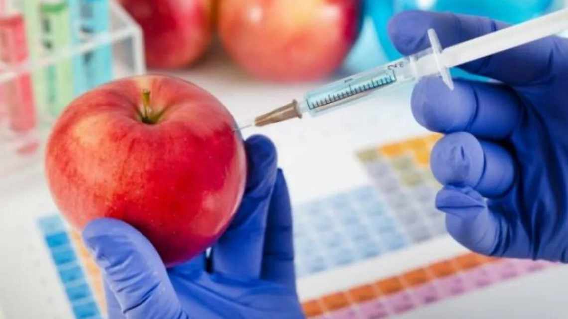 У Нігерії планується випуск нових ГМО-продуктів