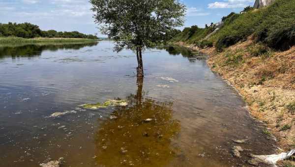 У річках Європи достаток пестицидів