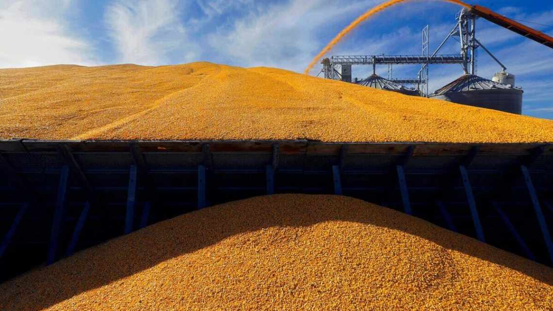 Індія підвищує мито на імпортну пшеницю
