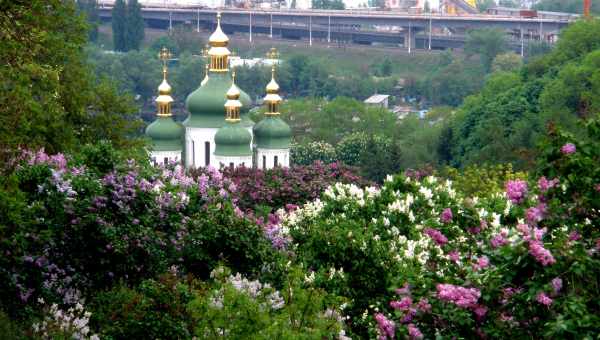 Чиказький ботанічний сад