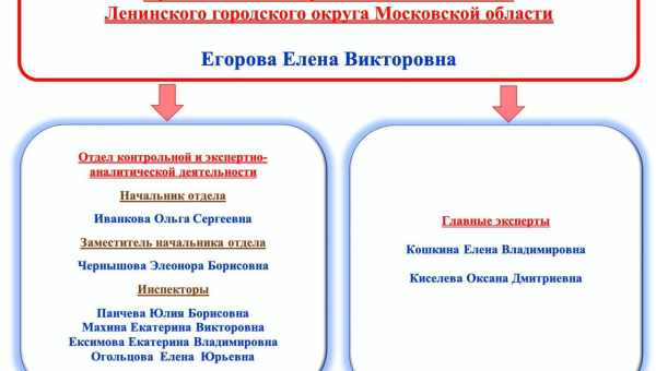 Структура парламентів і організація палат